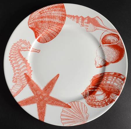 Coastal Life Coral by 222 Fifth (PTS)