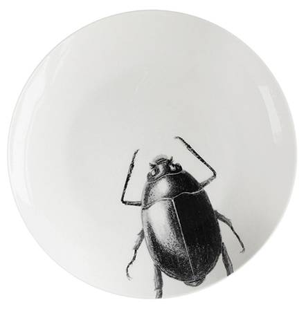 Beetle and Dragonfly by American Atelier