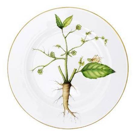 Country Side Salad Plate