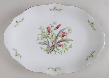 Dawn 14" Oval Serving Platter