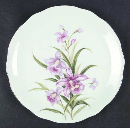 Orchid by Bellaire