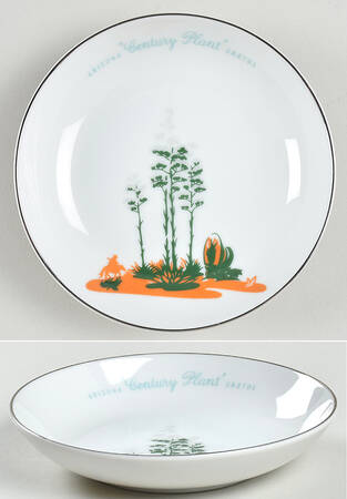 Arizona Cactus Fruit/Dessert (Sauce) Bowl