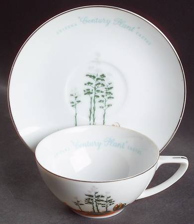 Arizona Cactus Flat Cup & Saucer Set