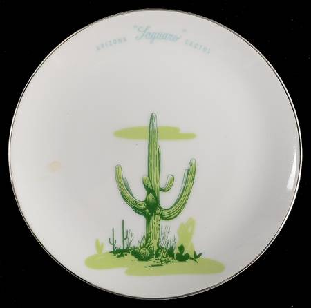 Arizona Cactus Bread & Butter Plate