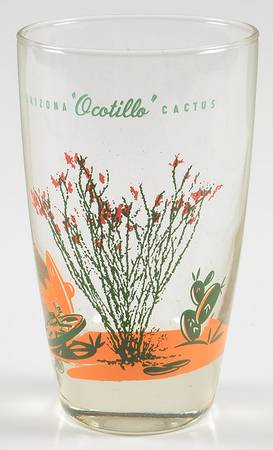 Arizona Cactus 12 Oz Glassware Tumbler