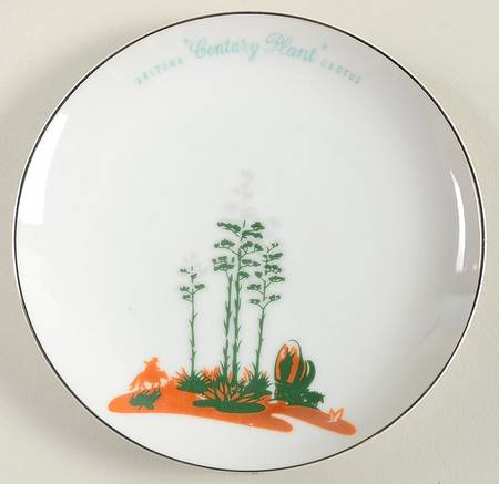 Arizona Cactus Bread & Butter Plate