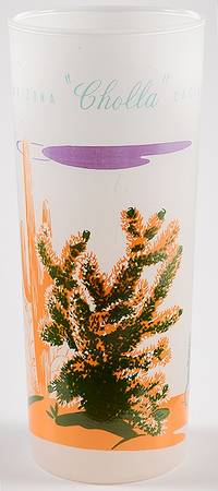 Arizona Cactus 14 Oz Glassware Tumbler