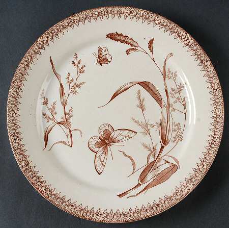 Summer Time Brown by T &amp; R Boote
