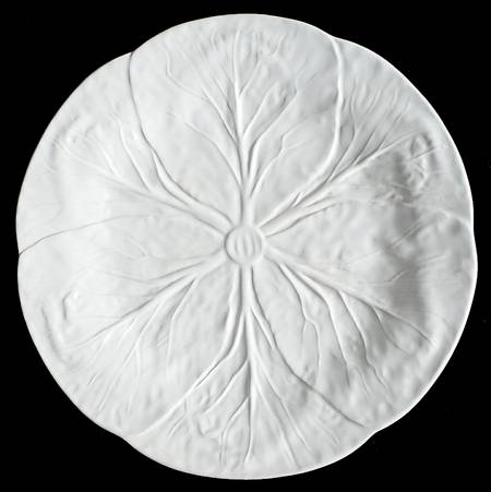 Cabbage White Dinner Plate