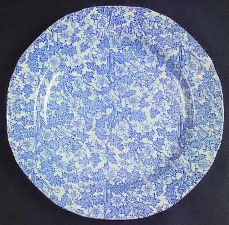 Burgess Chintz by Burgess &amp; Leigh