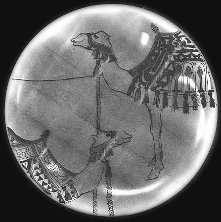 Camel by Georges Briard