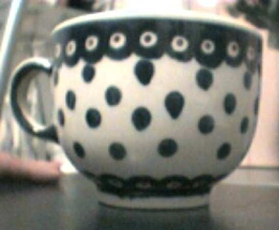 BOW1 Flat Cup
