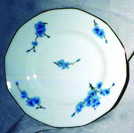 BDF1 Salad Plate