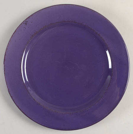 BIZ5 Service Plate (Charger)