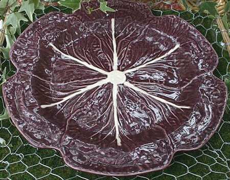 Cabbage Purple Dinner Plate