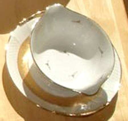 BER599 Gravy Boat with Attached Underplate