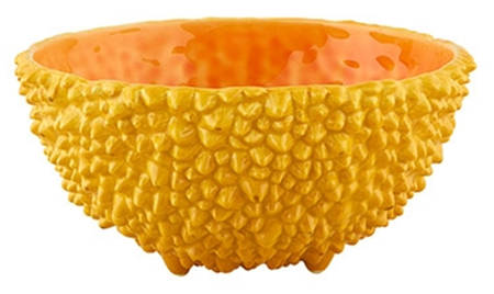 Amazonia 6" All Purpose Bowl