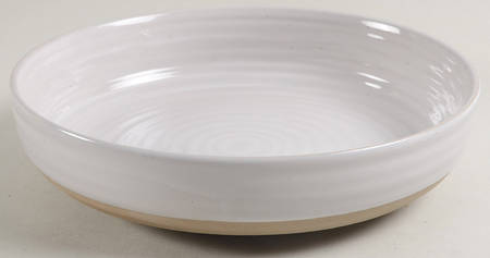 Abott Individual Dinner Bowl