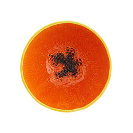 Tropical Fruits 5" All Purpose Bowl