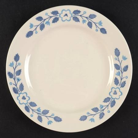 Echo Salad Plate