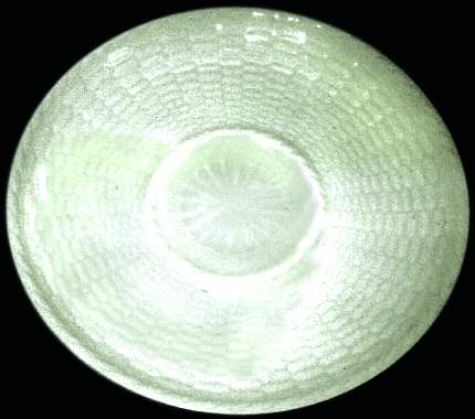 Pergolia Saucer