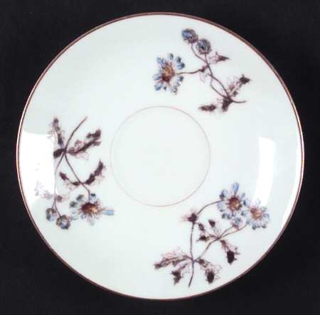 Schleiger 1311 Saucer