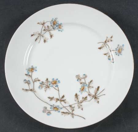 Schleiger 1311 by Charles Field Haviland