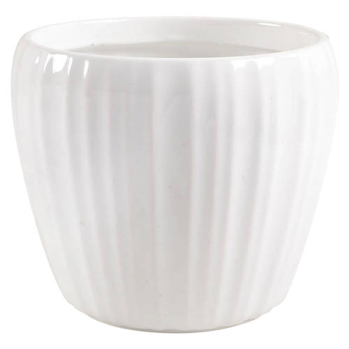 French White Medium Canister No Lid