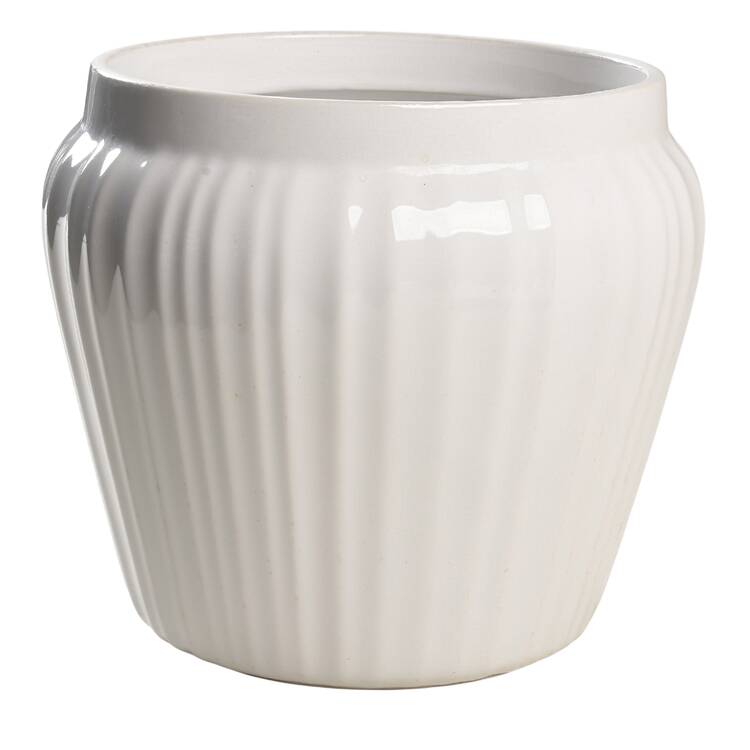 French White Large Canister No Lid