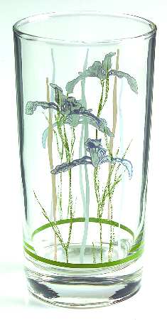 Shadow Iris (Corelle) 14 Oz Glassware Tumbler