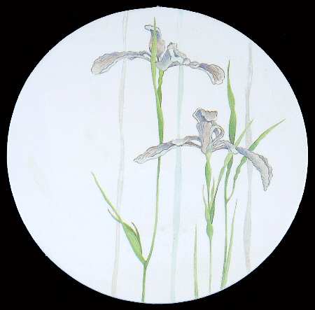 Shadow Iris (Corelle) Vinyl Coaster
