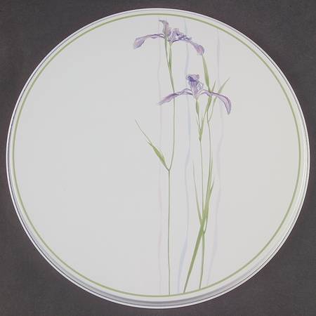 Shadow Iris (Corelle) 10" Round Individual Stove Cover