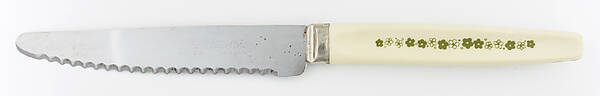 Spring Blossom (Large Flowers) Small Dinner Knife