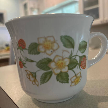 Strawberry Sundae (Corelle) Flat Cup