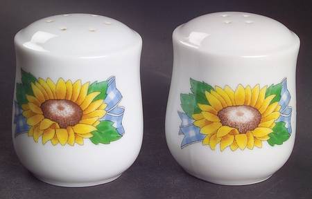 Sunsations (Corelle) Salt & Pepper Set
