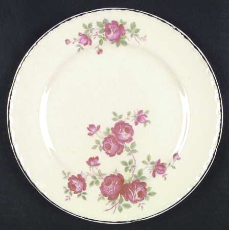 Wild Rose by Crooksville