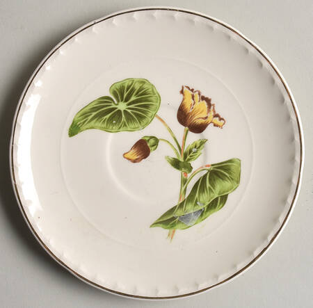 Delmar Begonia Saucer