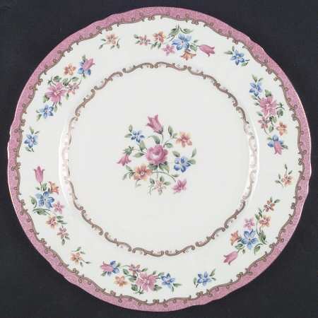 F16165 Dinner Plate