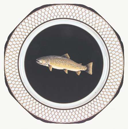 Trout of American Waters by Lynn Chase