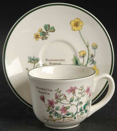 Florabunda (Smooth, Round) Flat Cup & Saucer Set