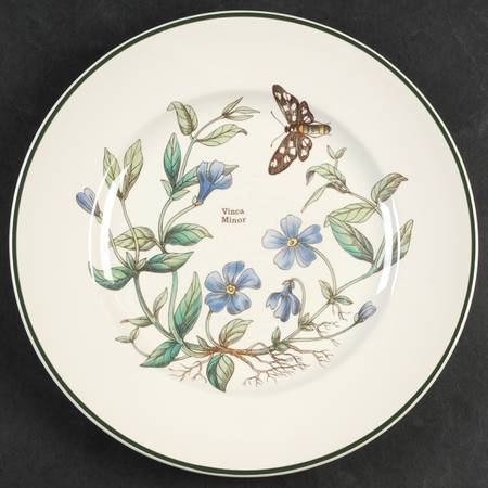 Florabunda (Smooth, Round) Dinner Plate by Cuthbertson
