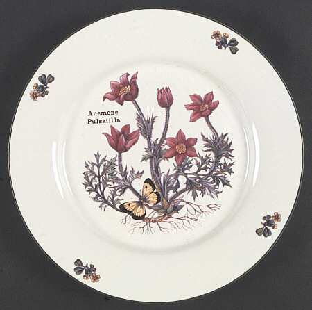 Florabunda (Smooth, Round) by Cuthbertson