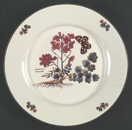 Florabunda (Smooth, Round) Dinner Plate by Cuthbertson