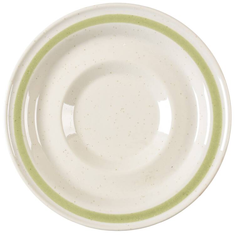 Sunnyvale Saucer