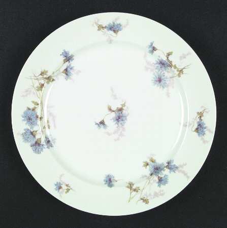 Schleiger 378f by Charles Field Haviland