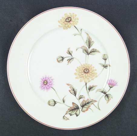 Chrysanthemum by Castle Court