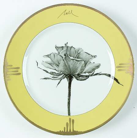 Tuscan Roses Yellow by Charles Field Haviland