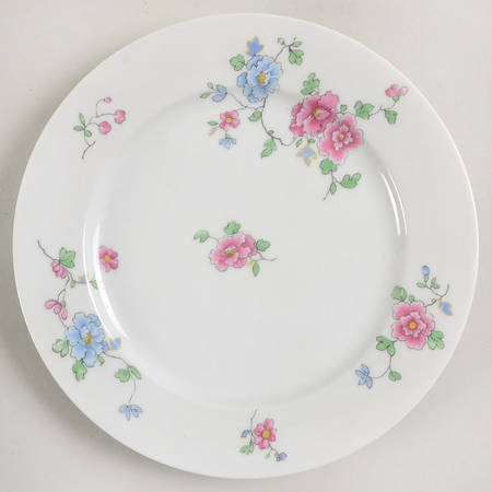 CHF477 Salad Plate