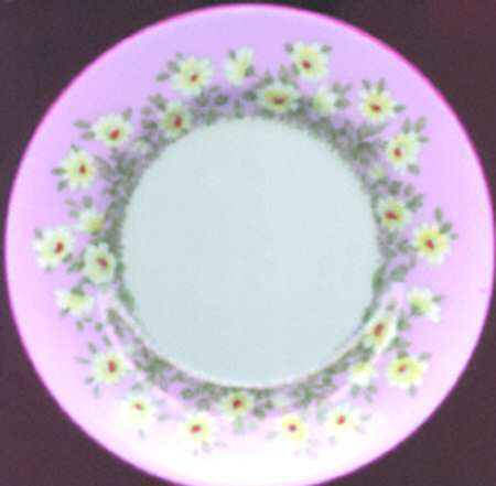 13719 Dinner Plate