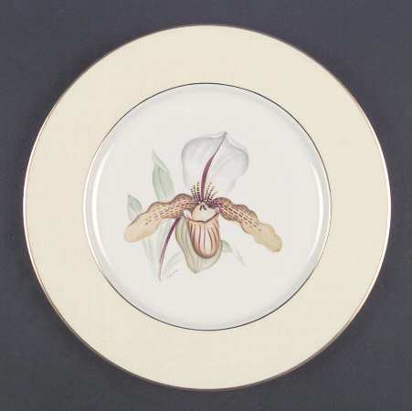 Orchid Dore by Castleton (USA)